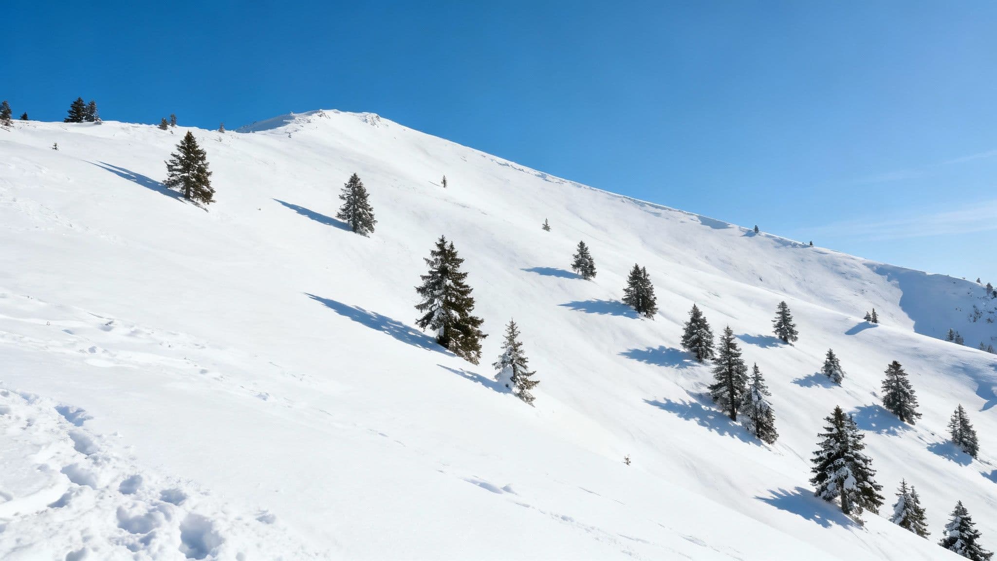 A skier looks out over a vast, snow-covered mountain range at Snowbird under a clear blue sky.