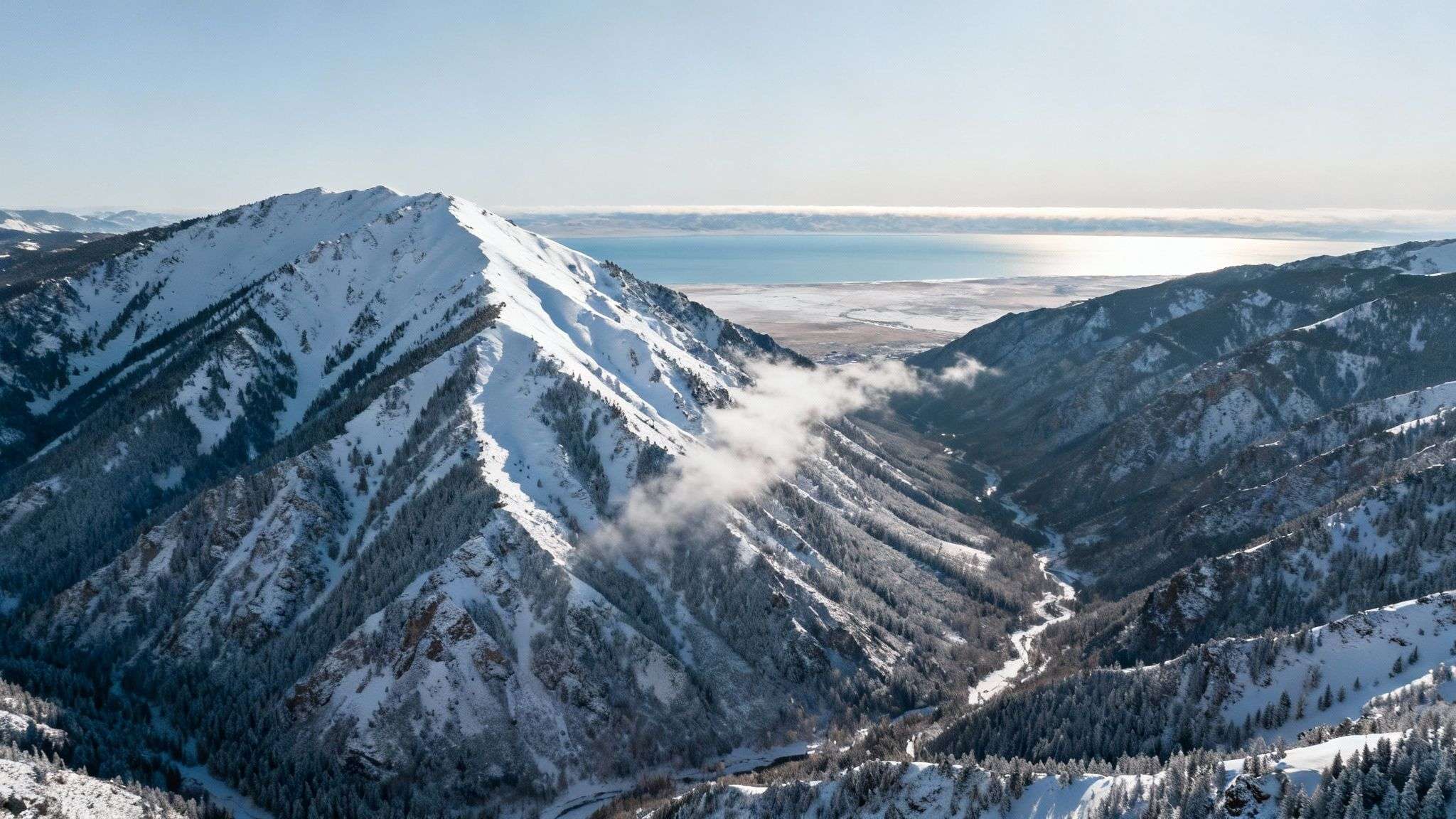 A snowboarder carving through deep powder snow at Brighton Resort.