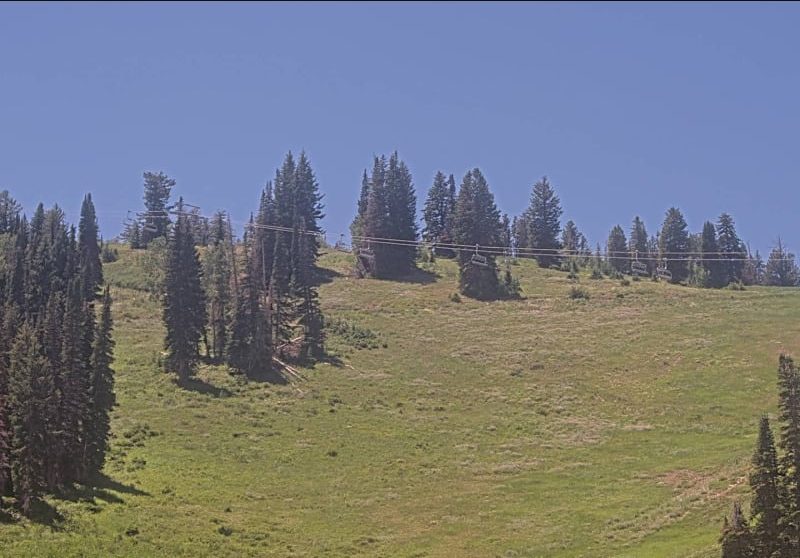 Solitude - Sunshine Bowl